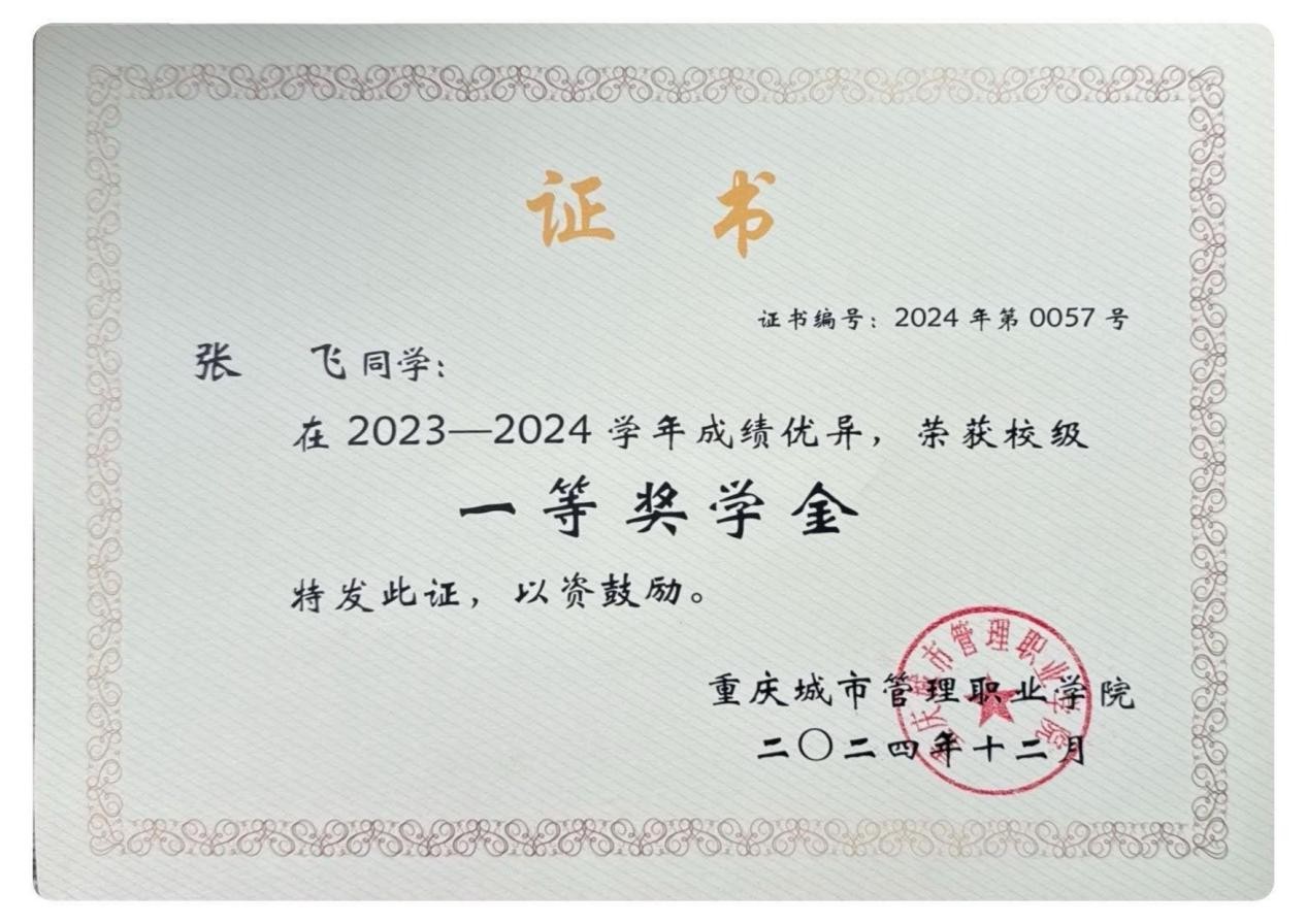 校级一等奖学金