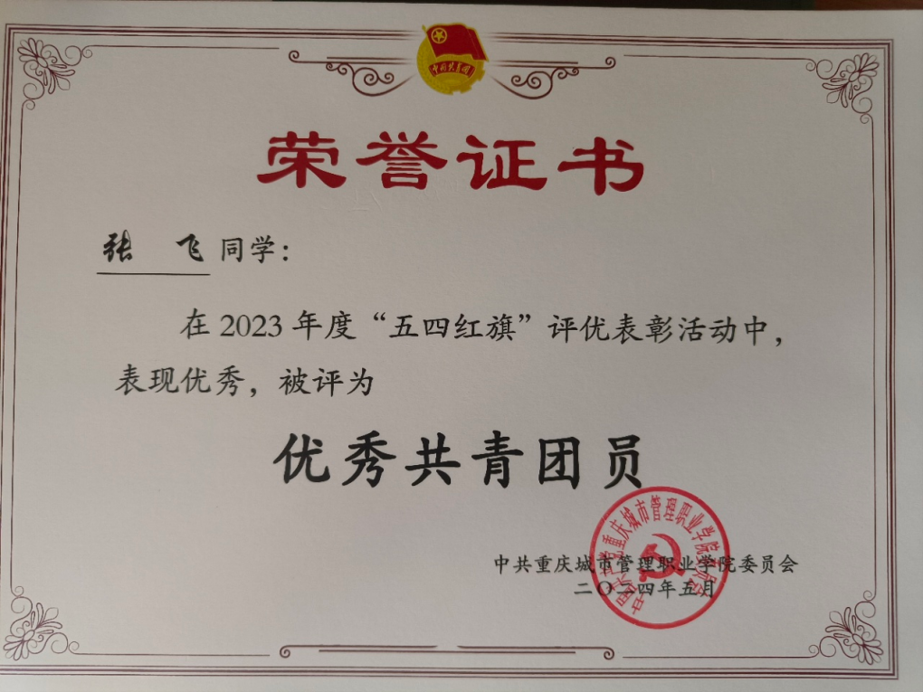 校级优秀共青团员