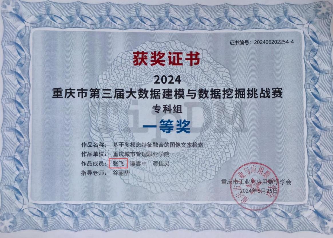 重庆市第三届大数据建模与数据挖掘挑战赛一等奖